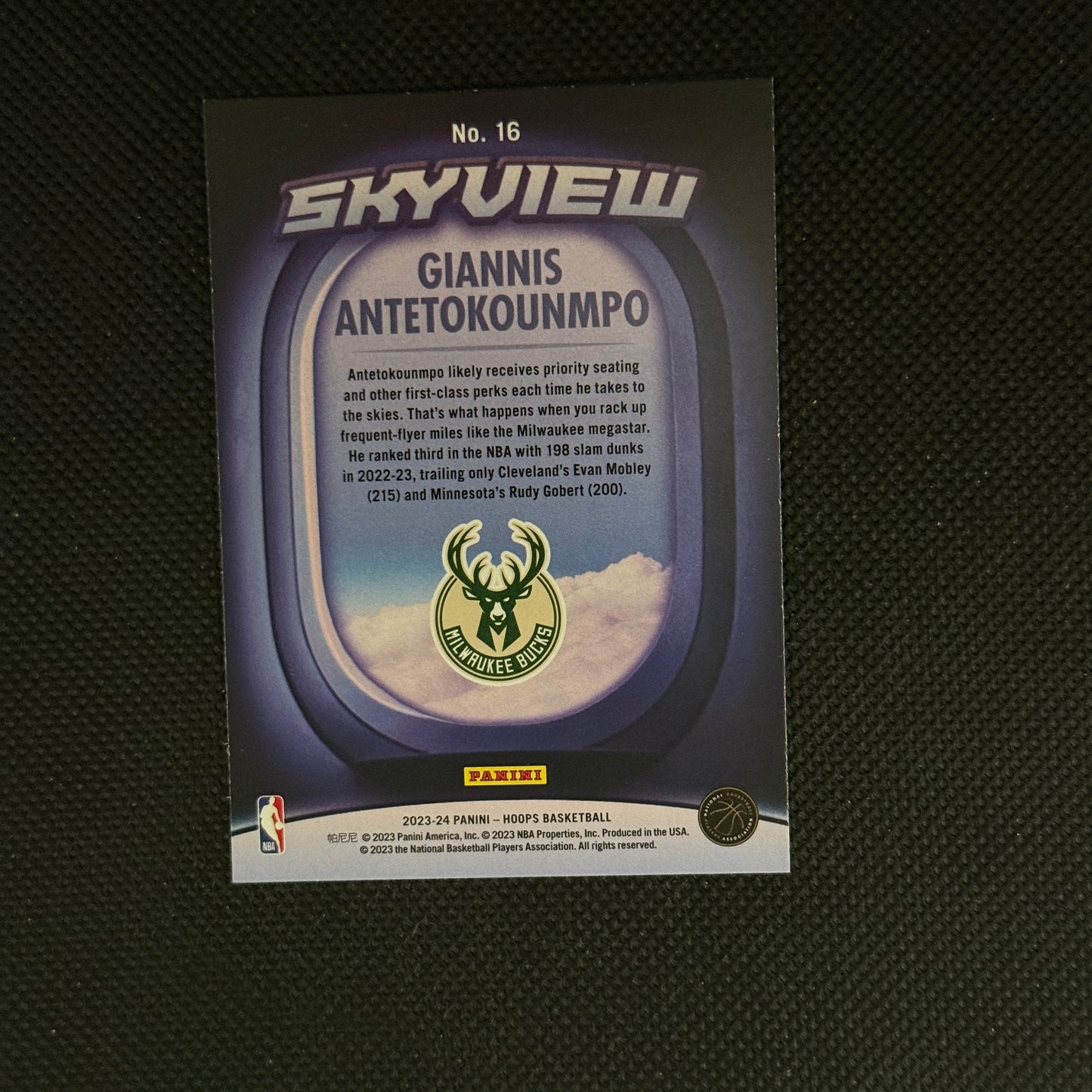 Giannis Antetokounmpo Skyview 2023/24