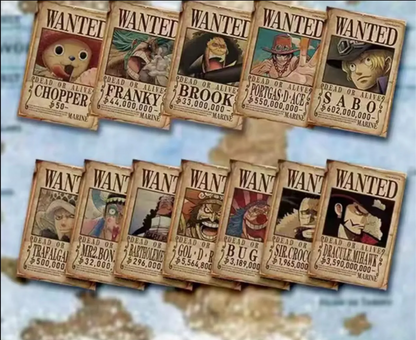 Maica Animation One Piece Box (CN)
