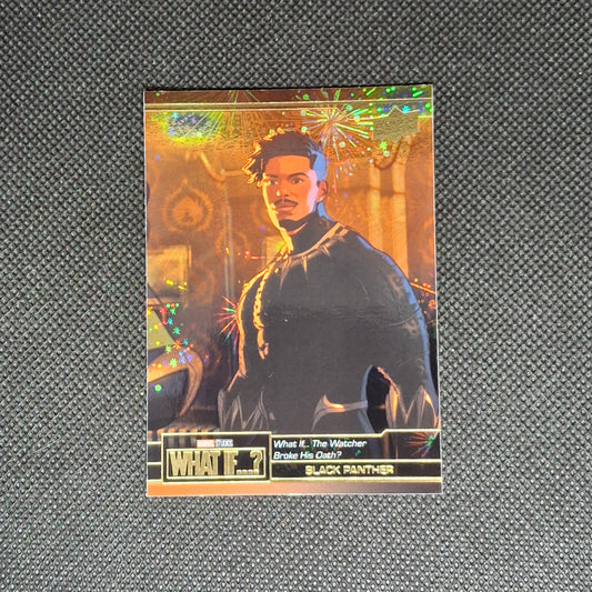 Black Panther Possibilities