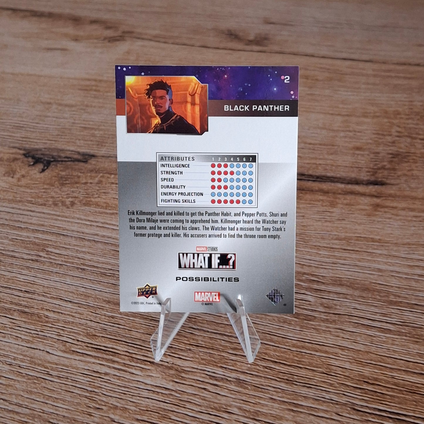 Black Panther Possibilities