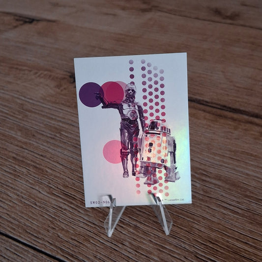 C3-PO & R2D2 SW02-68