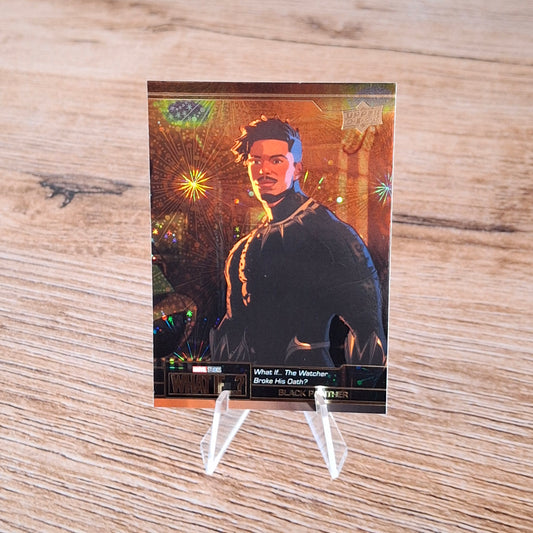 Black Panther Possibilities